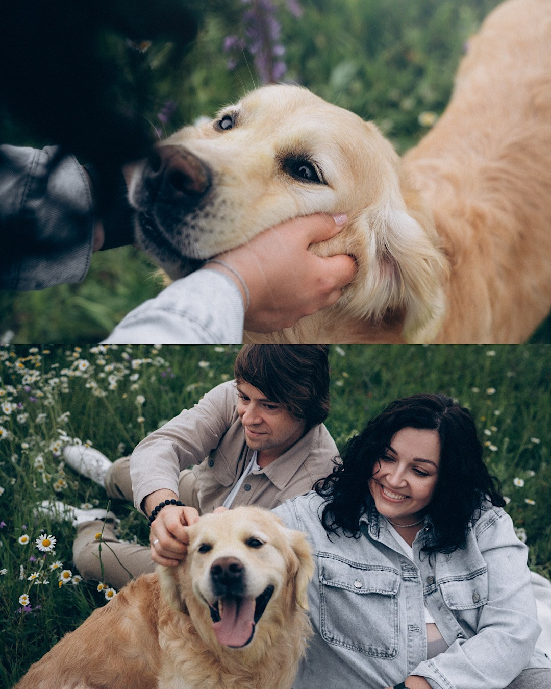 Кристина, Александр, Каролина, Владлен и Космос. Фотограф анималист в Москве и Санкт-Петербурге Свиридова Анна