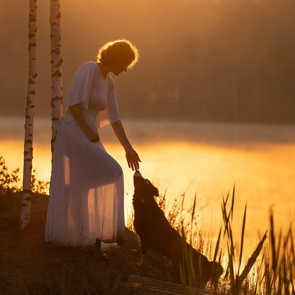 Съёмки собак на природе. Фотограф-анималист Natalia Deingel | Фотосъемка собак в Москве