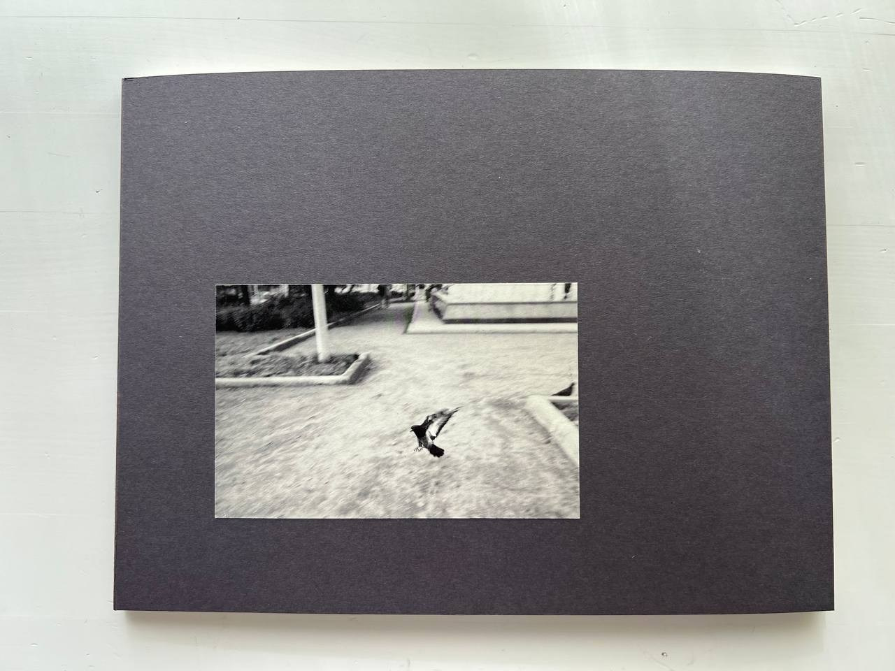 АВТОРСКАЯ КНИГА. Tatiana Mishchenko