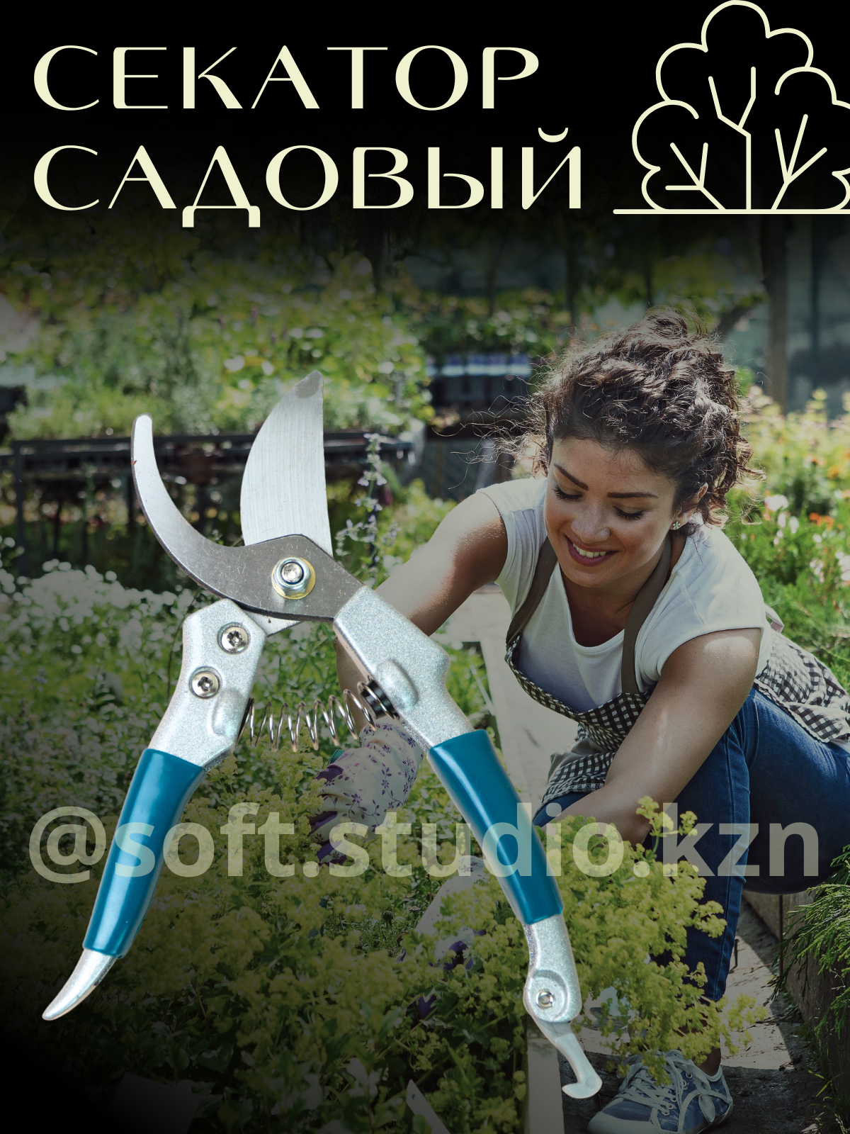 Инфографика. Фото для Маркетплейсов