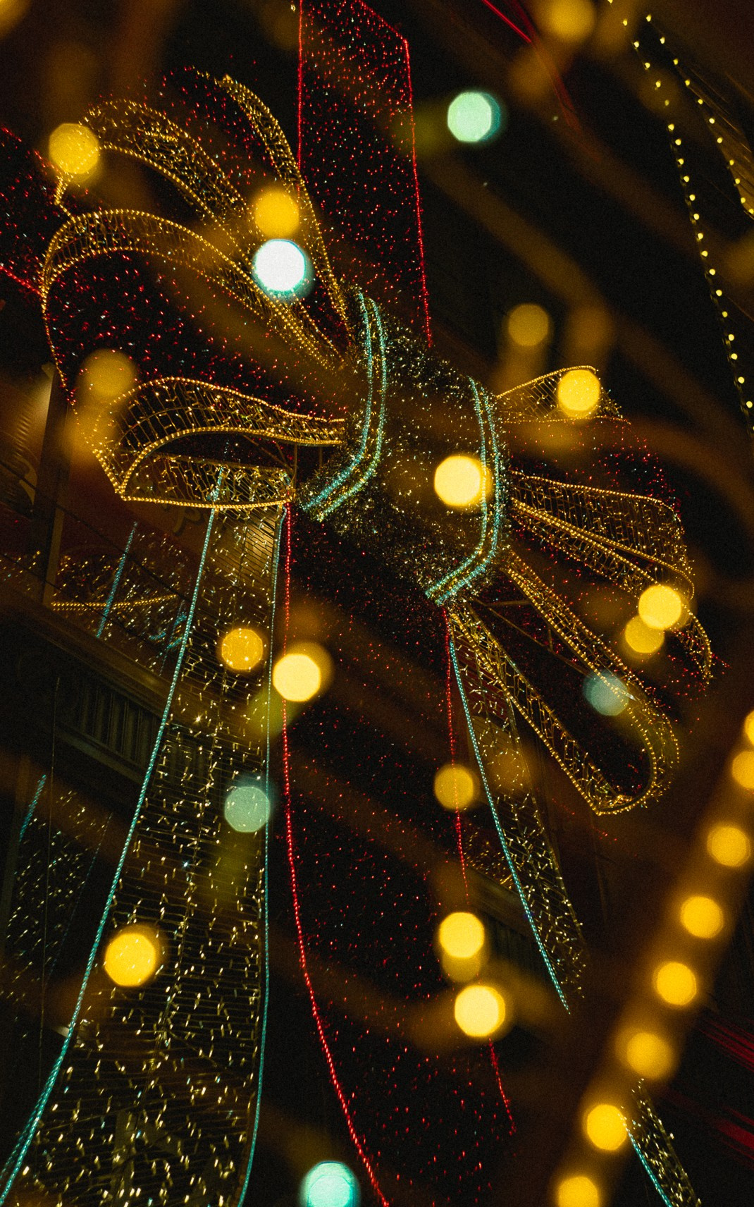 Москва. Ноябрь. 2024. Фотограф в Сочи Елена Лисотина. Фототуры в Сочи