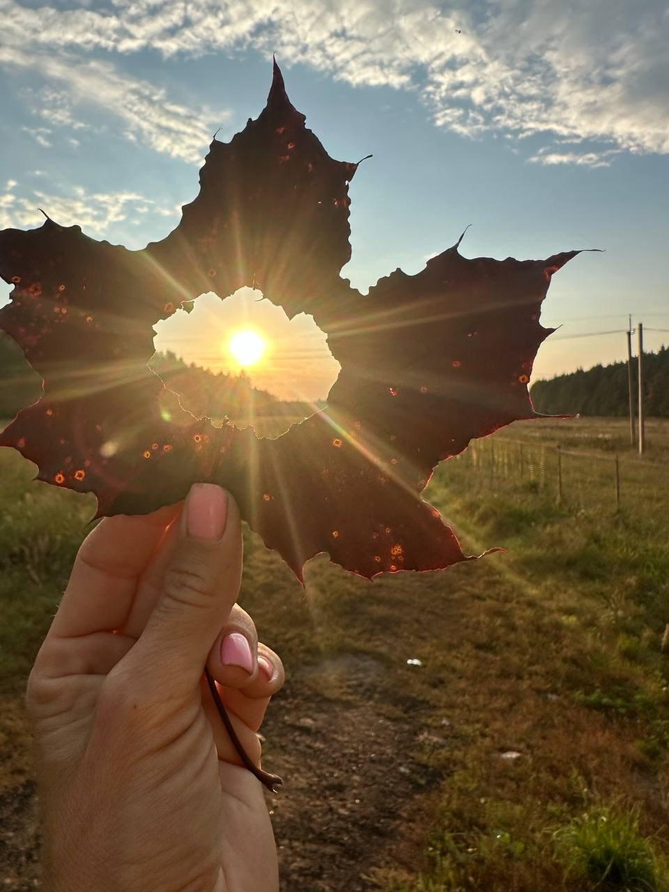 КУРС ПО ФОТО/ВИДЕО СЪЕМКЕ «СЧАСТЬЕ В ПРОСТОМ». Фотография. Визуально-чувственный мир души