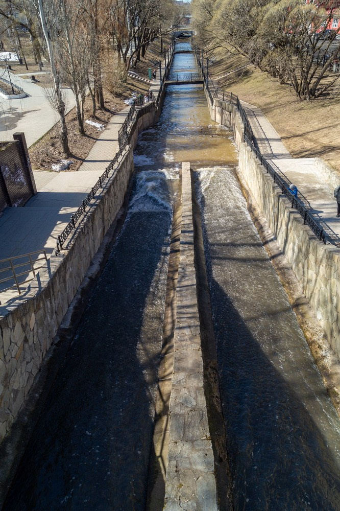 Райский сад