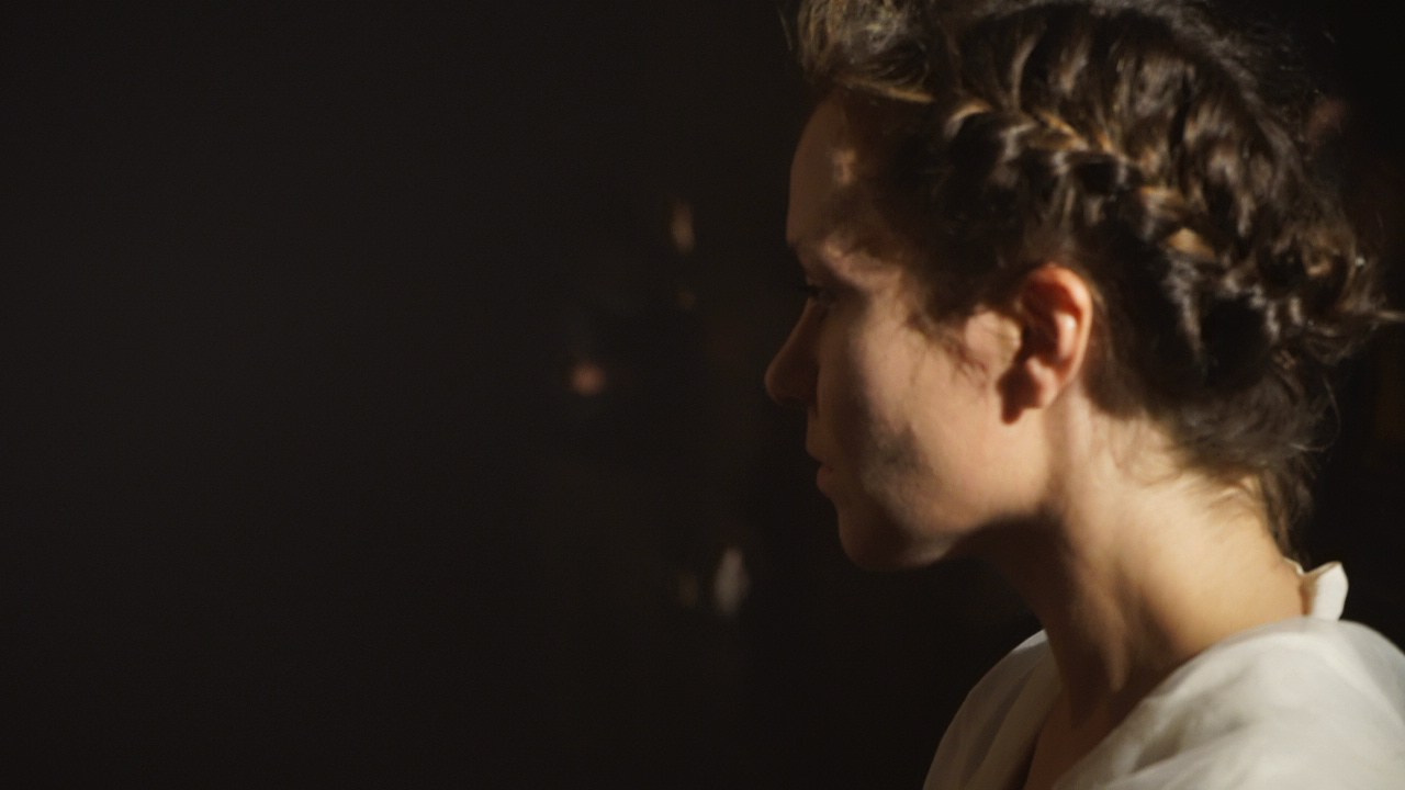 Красное дерево. Фото / Видеосъемка в Москве