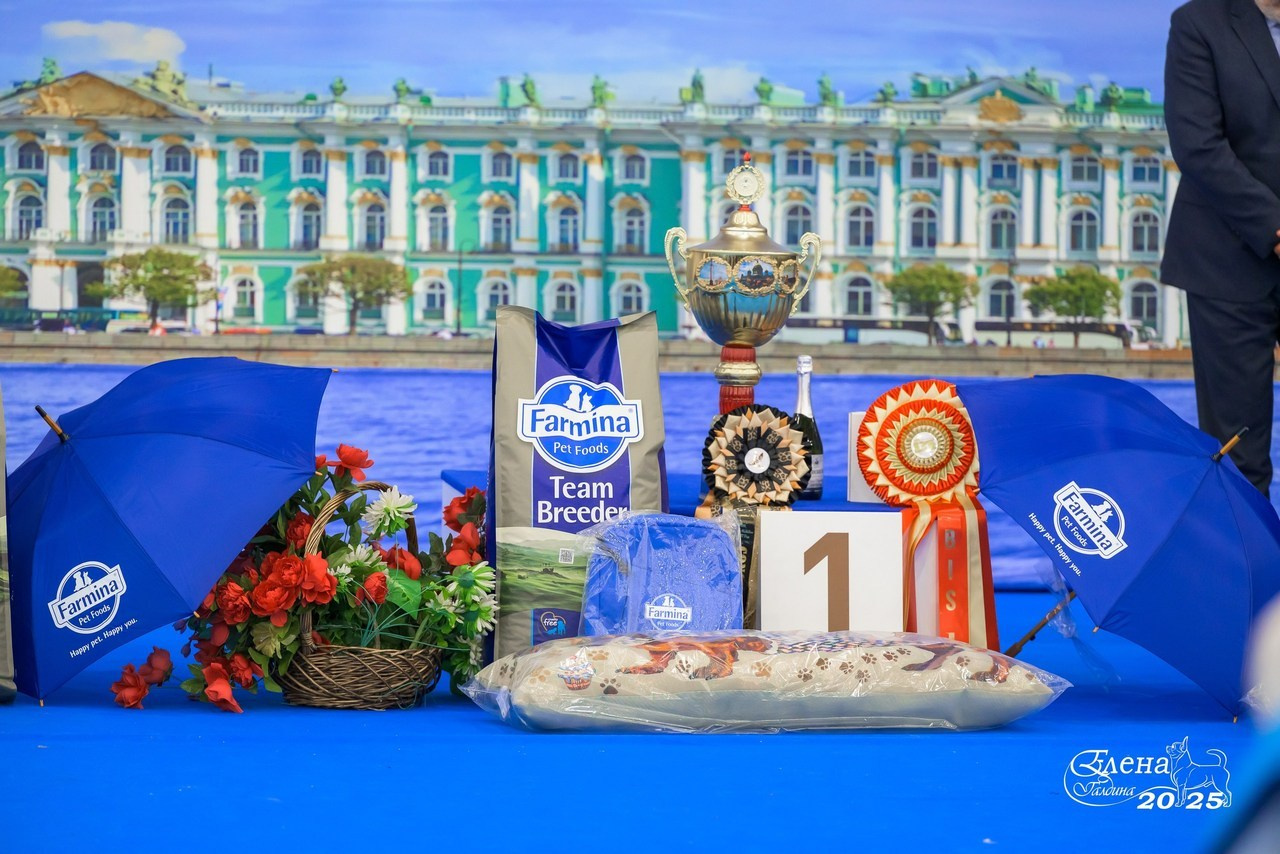 Отзывы. Фотограф анималист Елена Галдина г. Красноярск