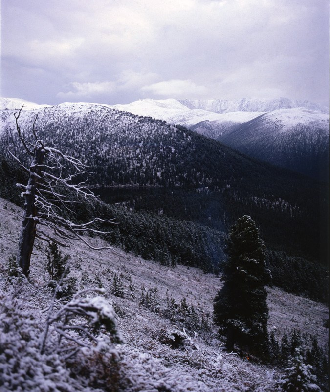 Саяны. ВАДИМ ГИППЕНРЕЙТЕР — ВЕЛИКИЙ ФОТОГРАФ ЗЕМЛИ РУССКОЙ