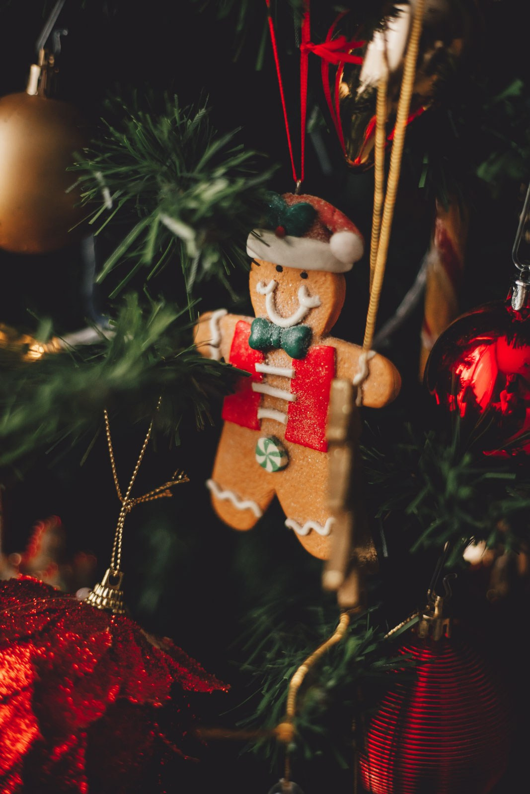 Семья. Семейный и ивент фотограф в Москве Мария Маликова