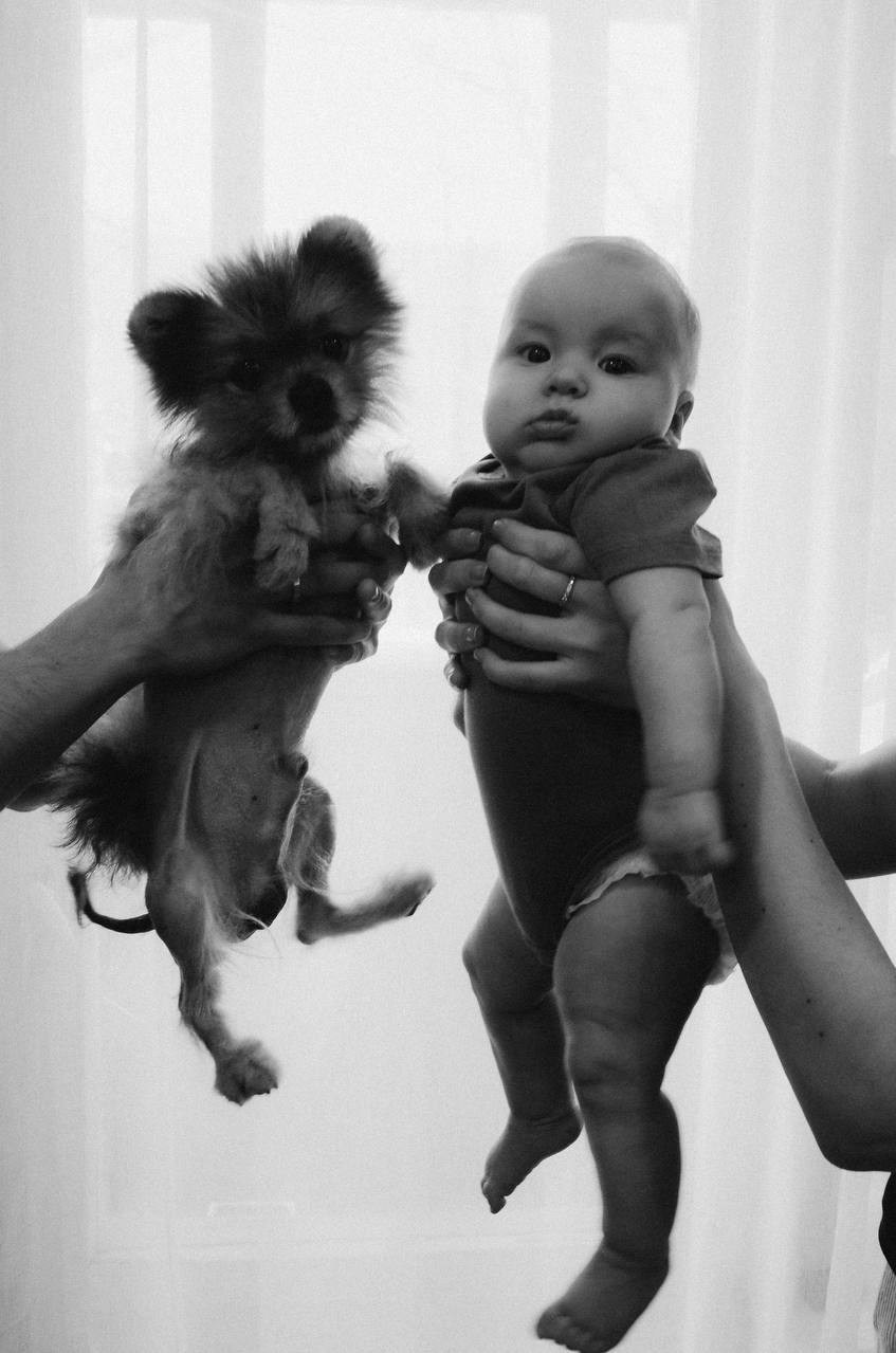 Домашние съемки♥️. Фотограф МО Матвеева Виктория 🖤