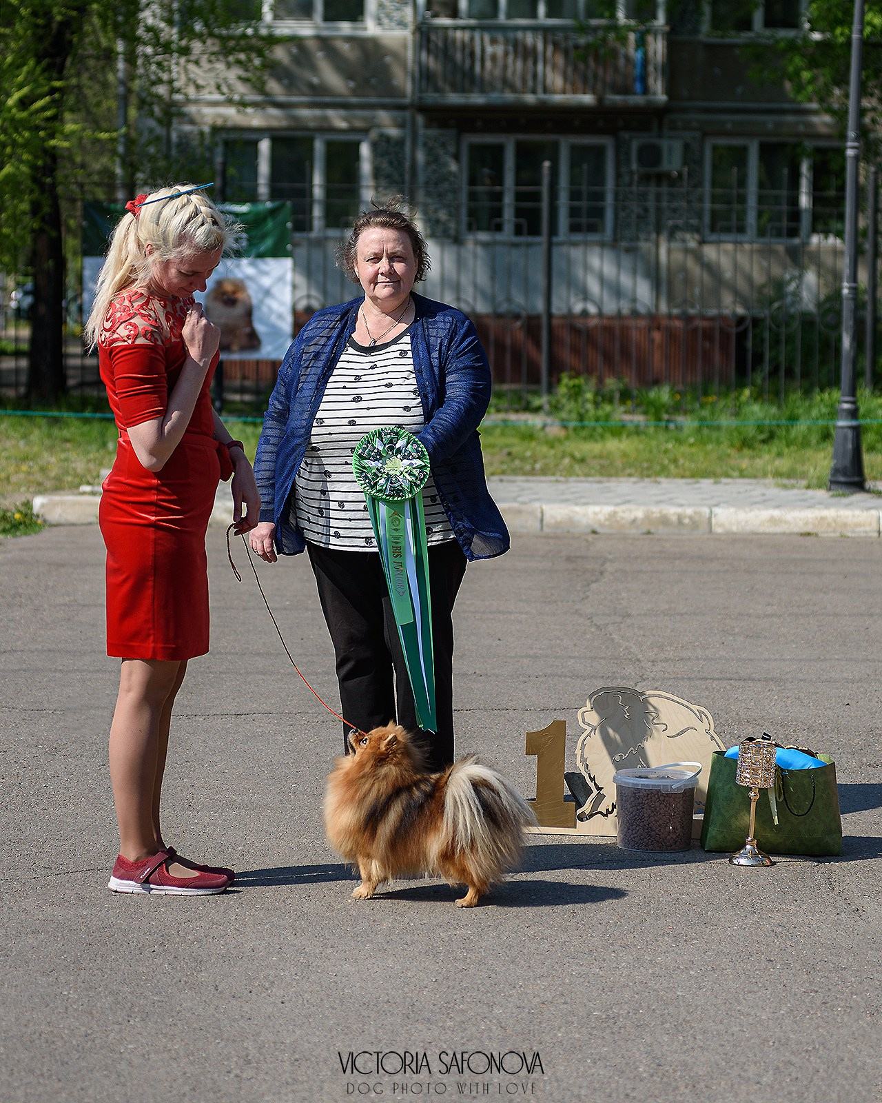 19 мая 2024 Благовещенск. Монопородная выставка шпицев. Фотограф анималист Благовещенск. Сафонова Виктория
