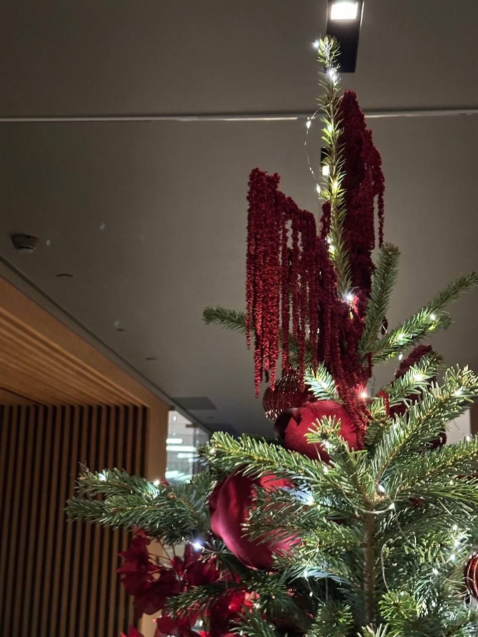 Новый Год и Рождество. Мария Сурмина-Ким. Флорист