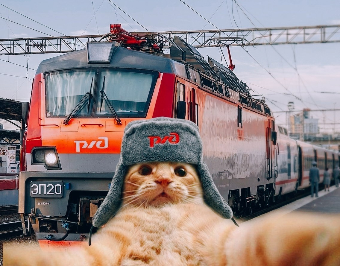 Отзывы. Фотограф chelfedor