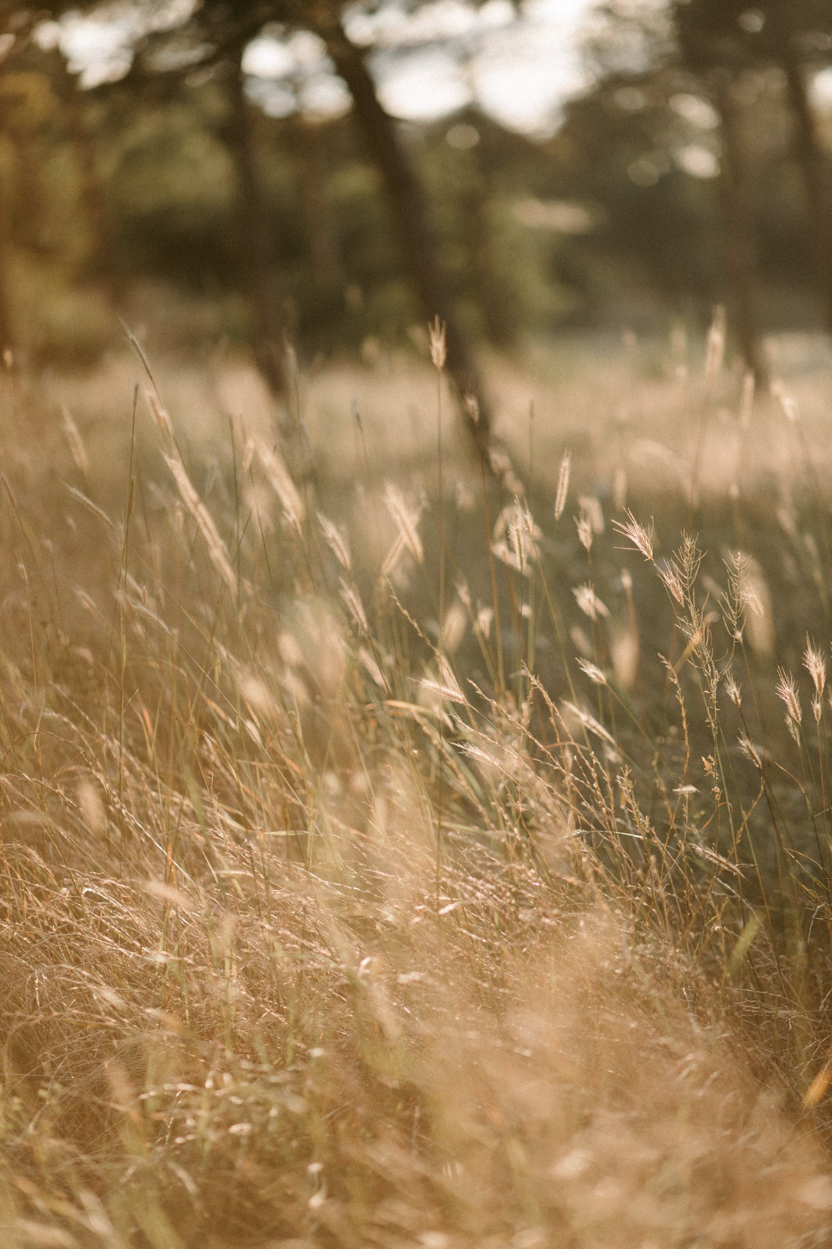 Anya. Anastasia Blud Photography