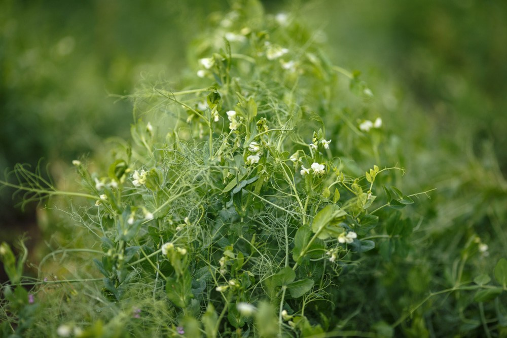 Актанышский район. Промышленный фотограф | Бизнес-фотосессии | Казань и РФ