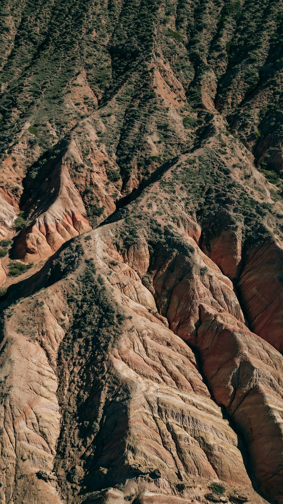 Кыргызстан. Человек с фотокамерой