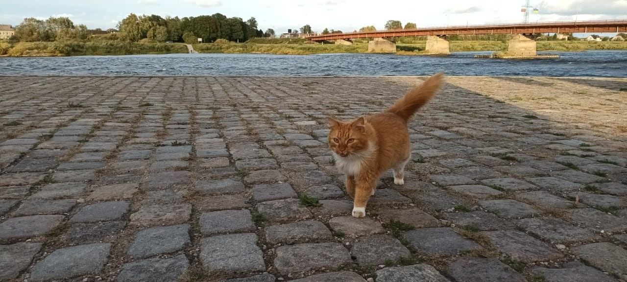 Калининград | 05-08.10.2023. Галерея Фантим