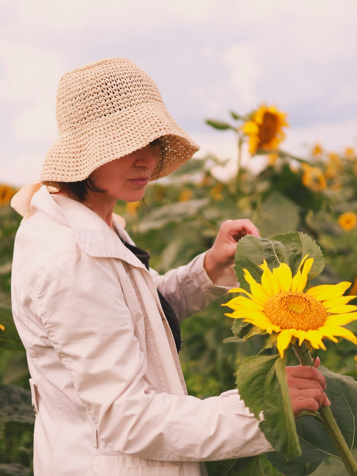 Подсолнухи. Семейный и свадебный фотограф в Минске Юлия Грин