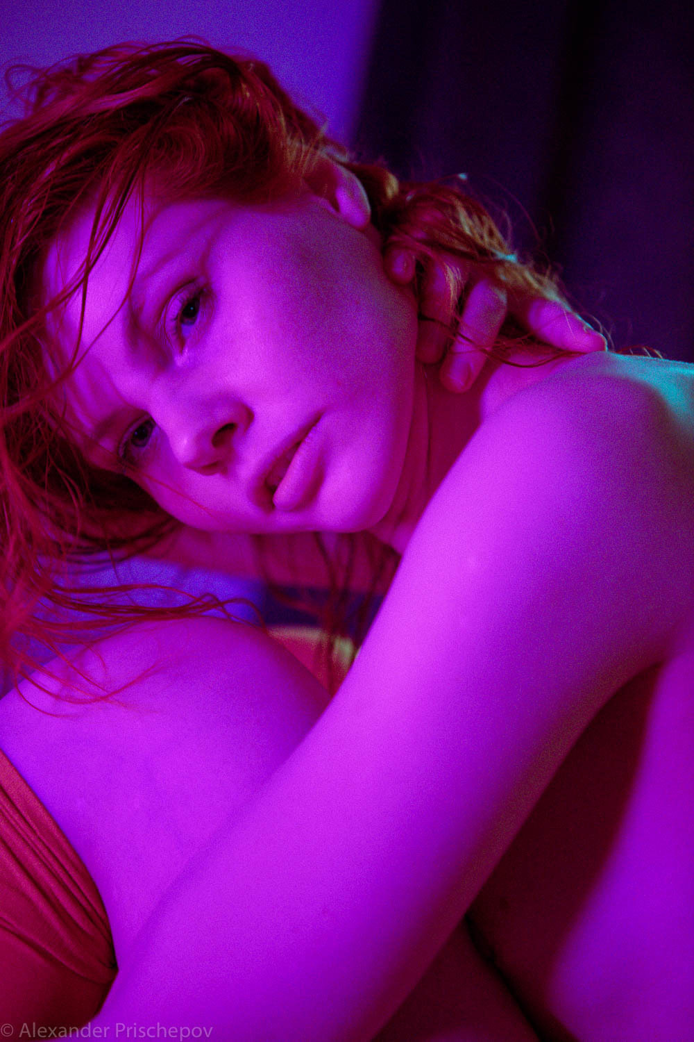 Red Fox in blue. Александр Прищепов - фотограф, режиссёр, продюсер