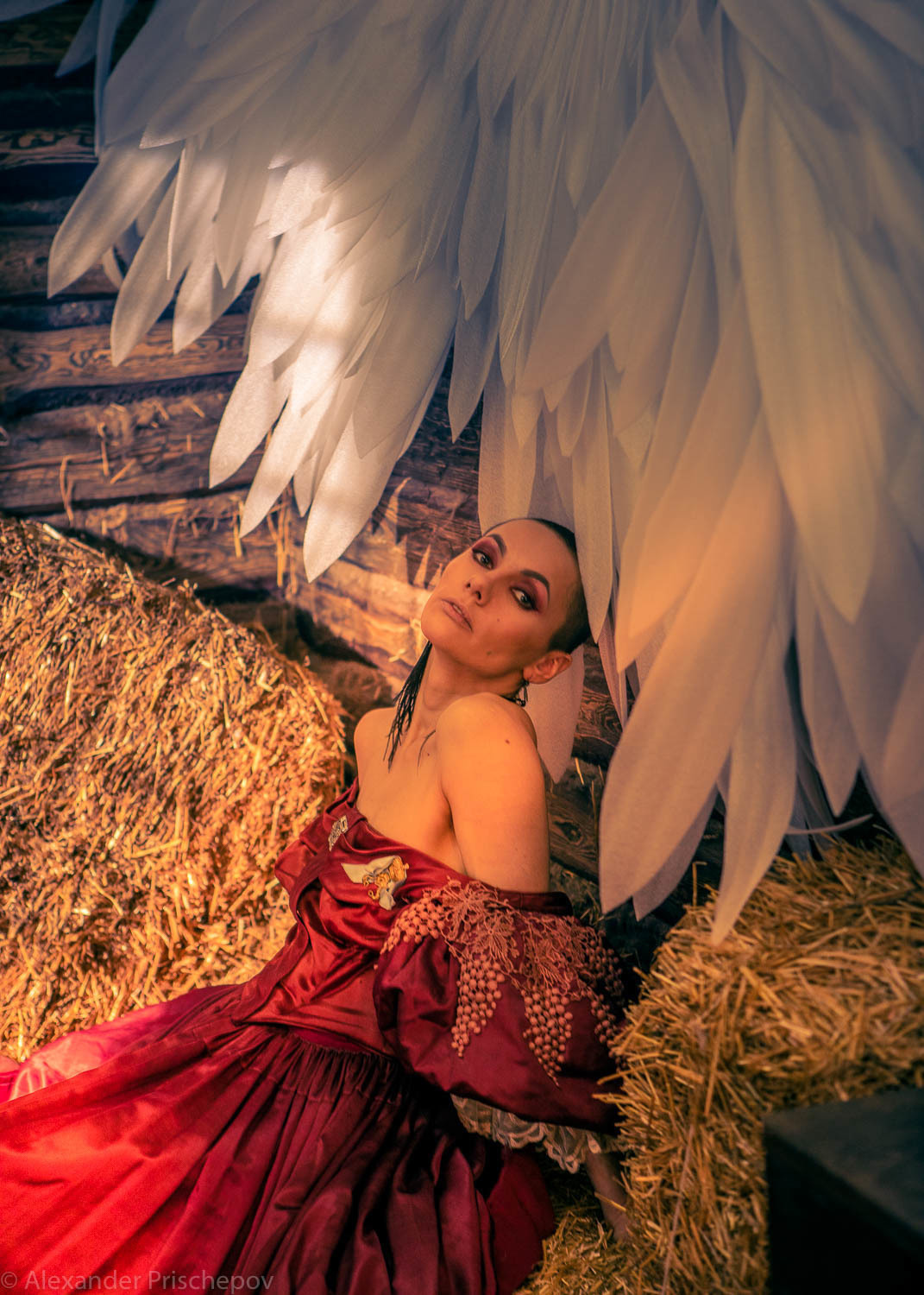 Возрождение Чайки. Александр Прищепов - фотограф, режиссёр, продюсер