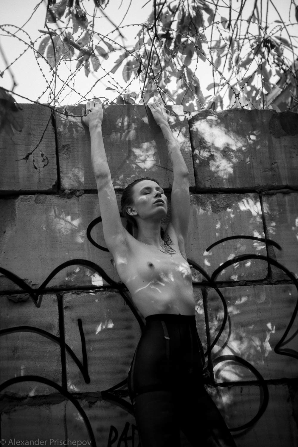 Осень в парке. Александр Прищепов - фотограф, режиссёр, продюсер