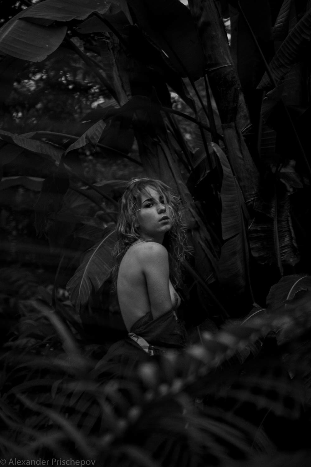 Сад. Александр Прищепов - фотограф, режиссёр, продюсер