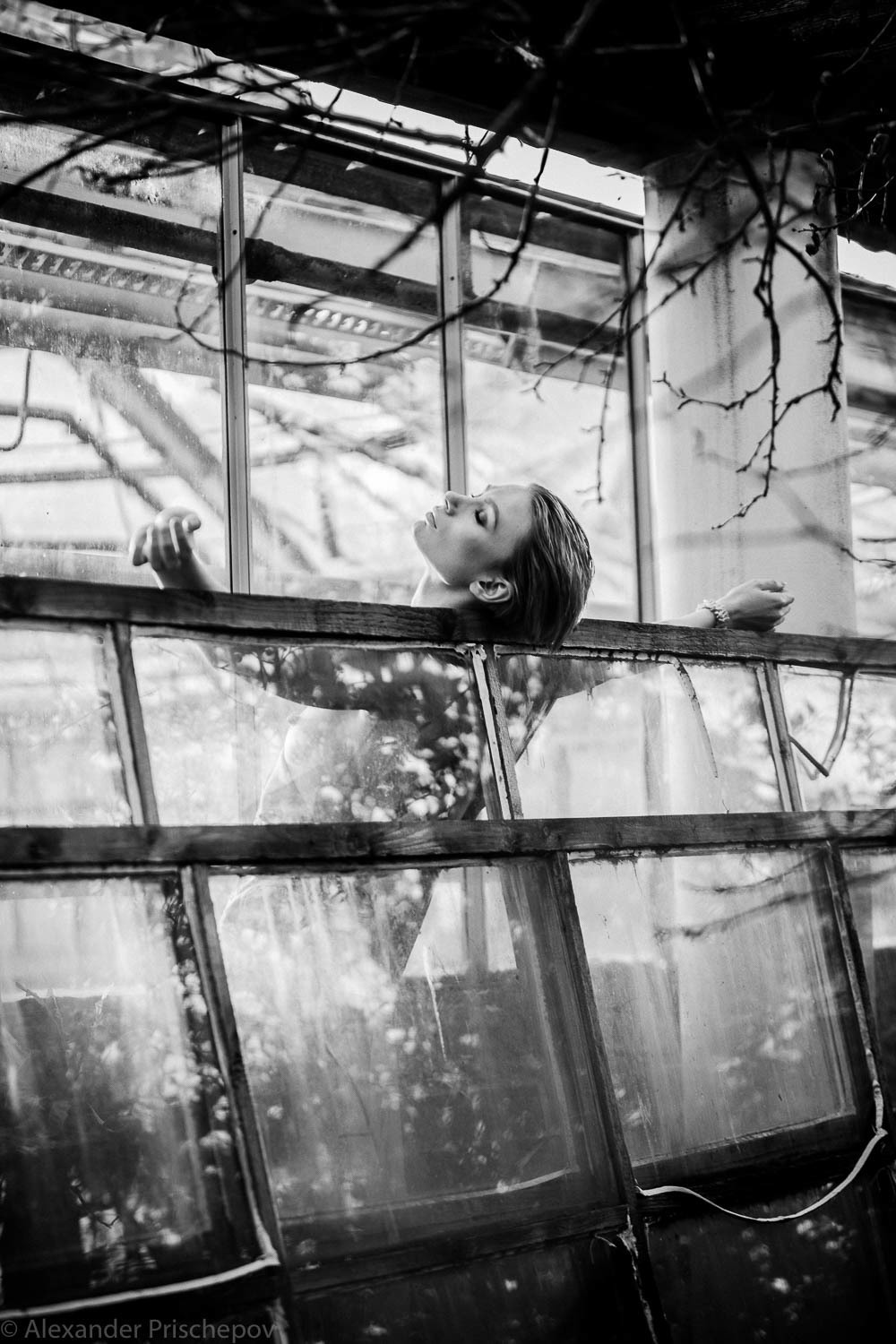 Вечер в Саду. Александр Прищепов - фотограф, режиссёр, продюсер