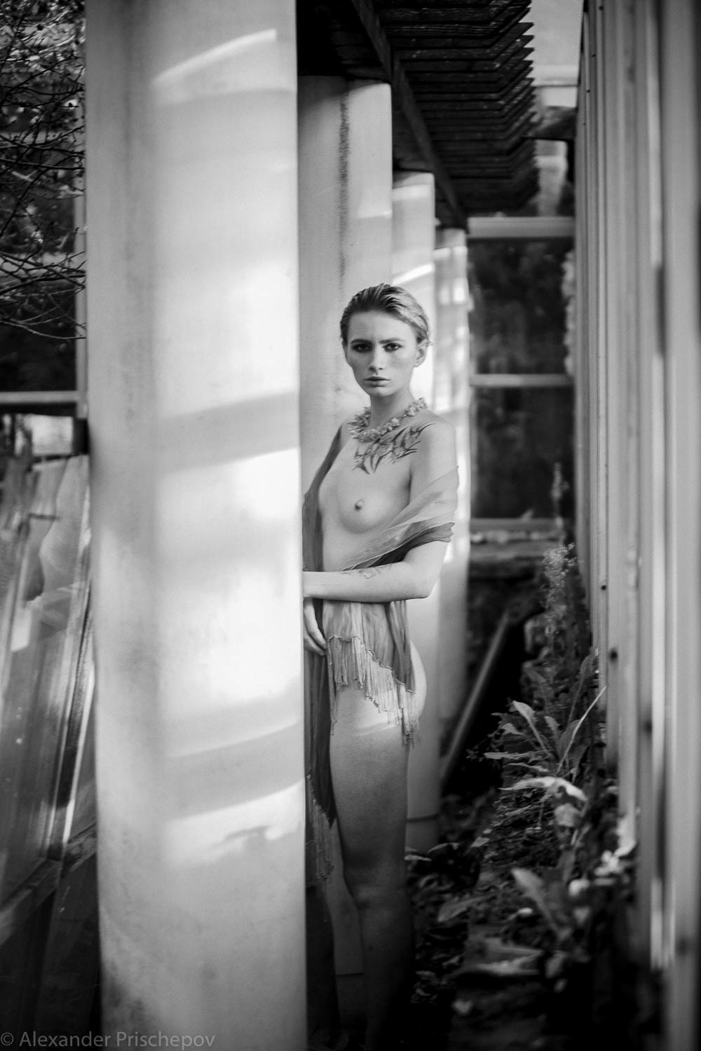 Вечер в Саду. Александр Прищепов - фотограф, режиссёр, продюсер