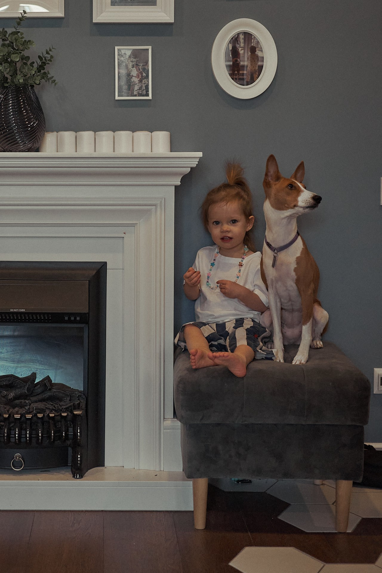 Аня, Майя и Пепси. Фотограф анималист Москва Дарья