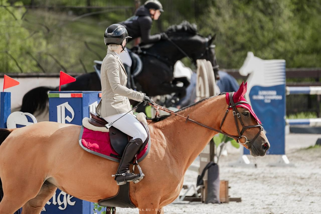 МУНИЦИПАЛЬНЫЕ СОР-Я ПО КОНКУРУ, ПОСВЯЩЕННЫЕ ДНЮ ПОБЕДЫ — ВИВАТ!. Куракина Дарья • Конный фотограф