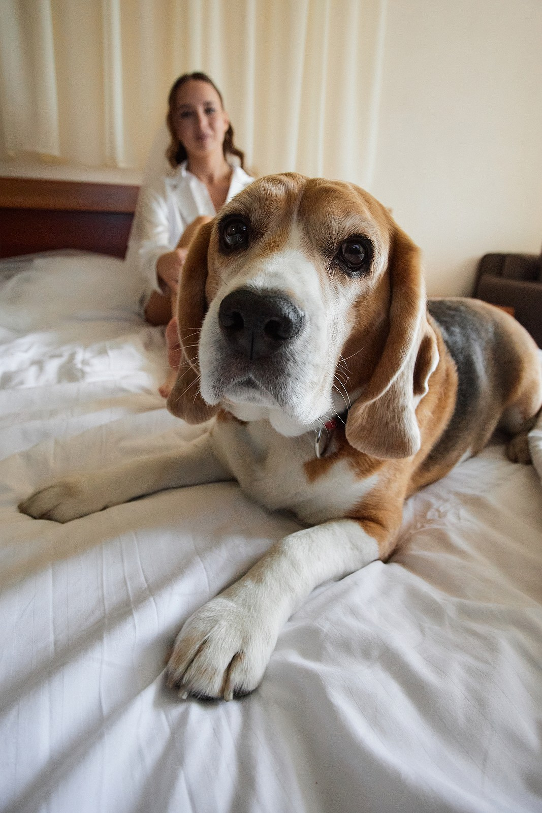 Алексей и Анастасия. Свадебный фотограф Челябинск, Екатеринбург, Курган — Виктор Слуднов