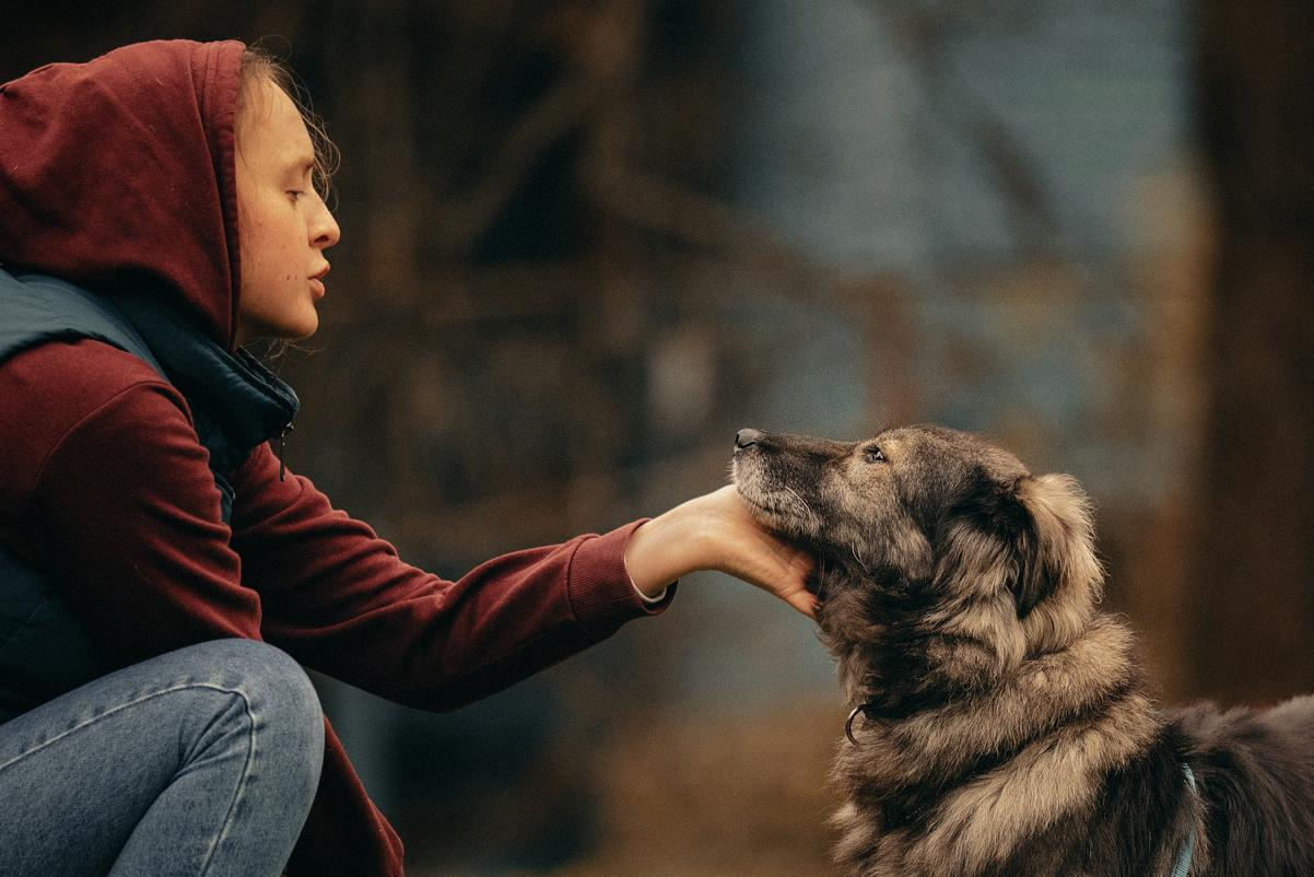 Are they looking for or have found a family. Real moments between people and their dogs