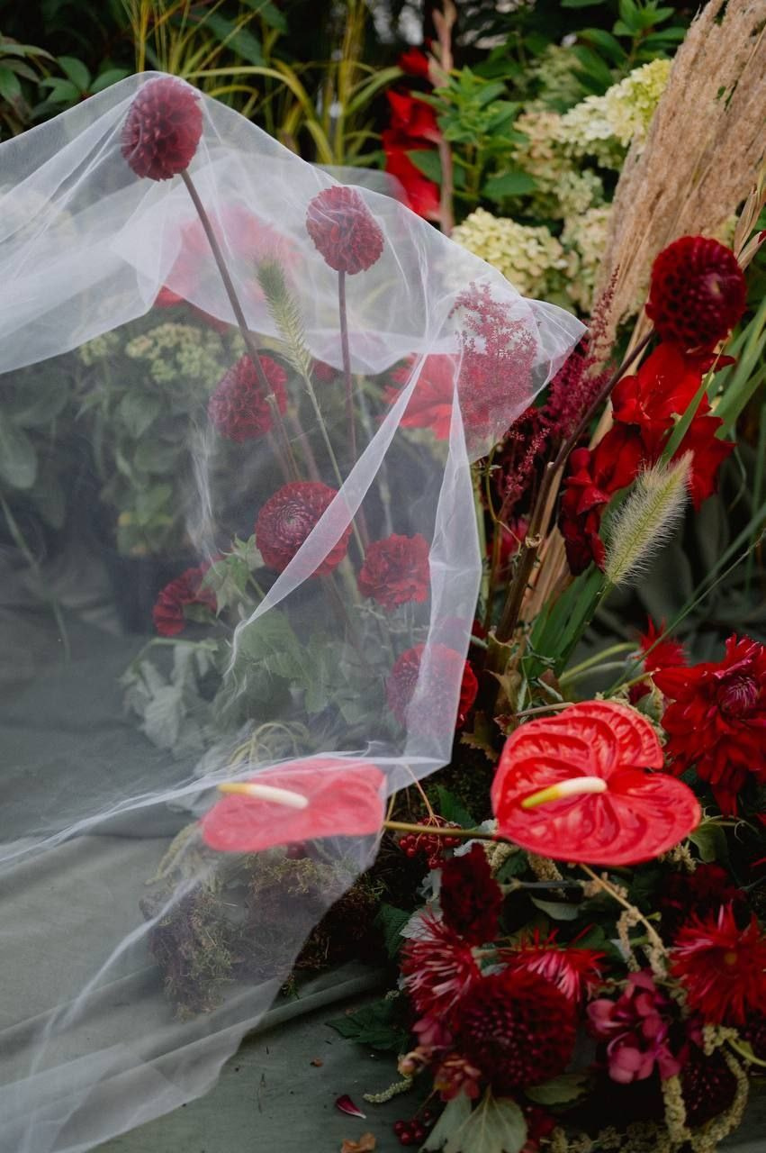 Свадьбы, Праздники, Еvent. Мария Сурмина-Ким. Флорист