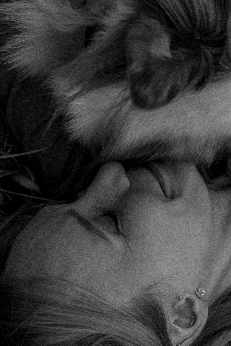 Маша и Эклер. Фотограф — Анималист | Санкт-Петербург