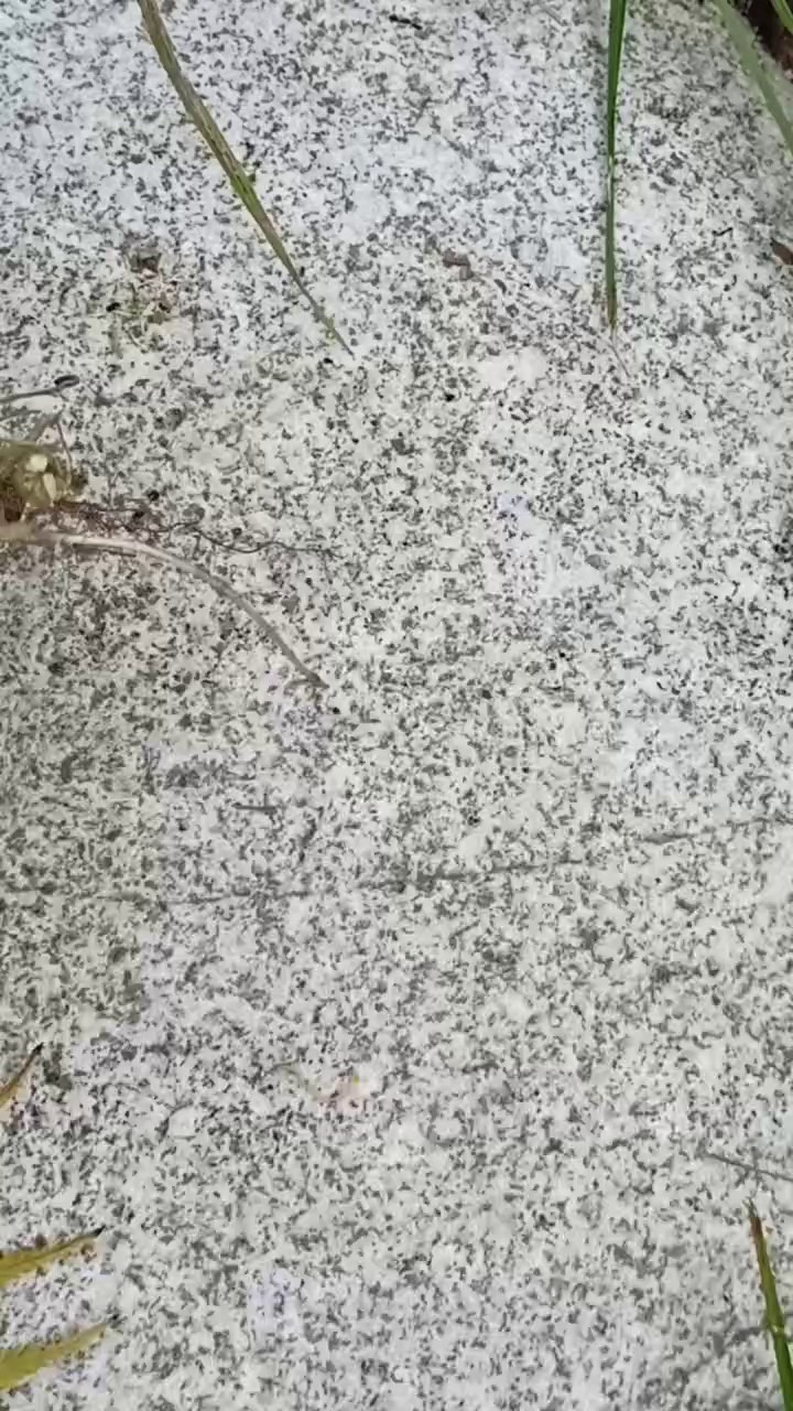 Творчество. Фотограф, психолог в Москве, Жуковском, Раменском Галина Майлер