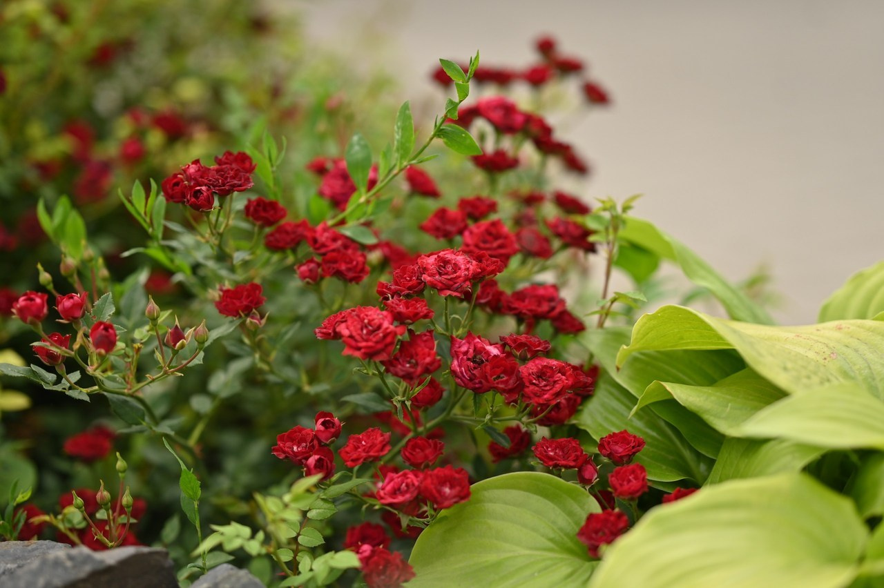 Отзывы. Фотограф Духина Наташа