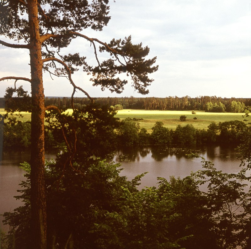 Лето. ВАДИМ ГИППЕНРЕЙТЕР — ВЕЛИКИЙ ФОТОГРАФ ЗЕМЛИ РУССКОЙ