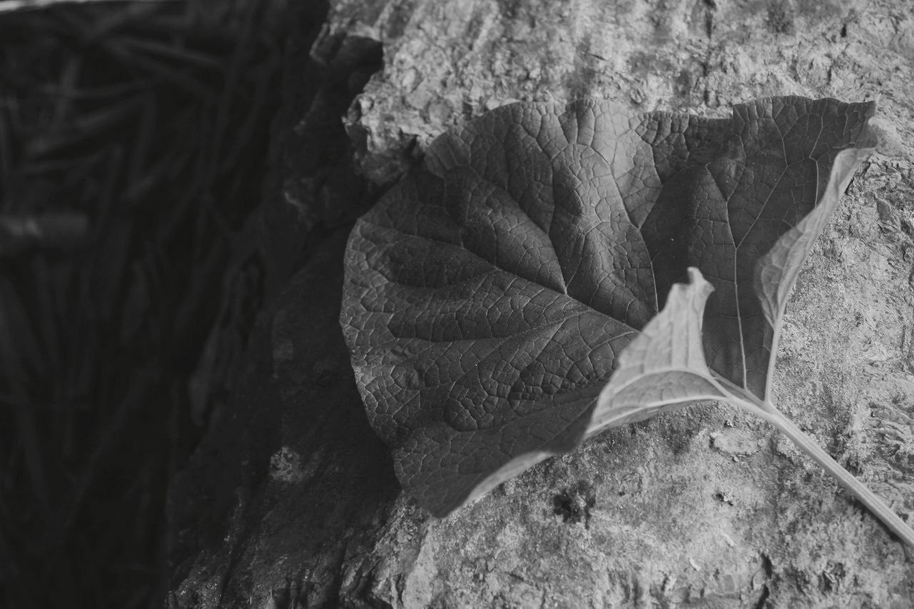 Летняя серия. Персональный и коммерческий фотограф в Тюмени Полина Лапардина