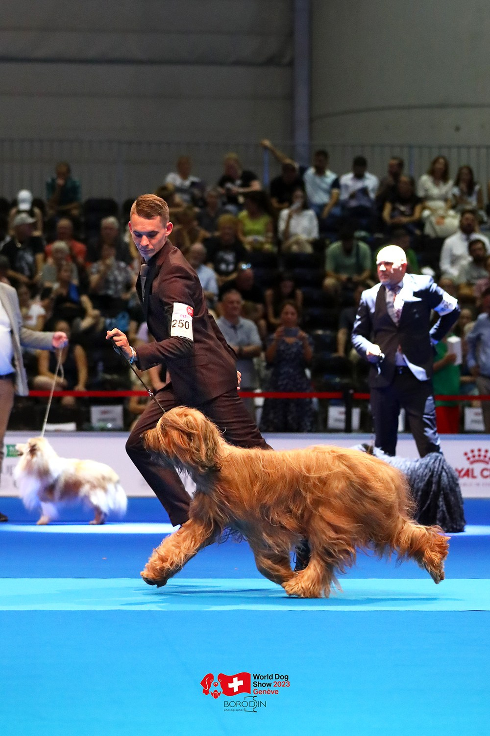 24-27.08.2023 WDS Geneva. Фотограф Дмитрий Бородин