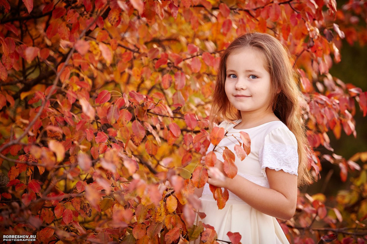 Фотограф в Белгороде - Уличные фотосессии. Фотограф в Белгороде — Андрей Бобрешов