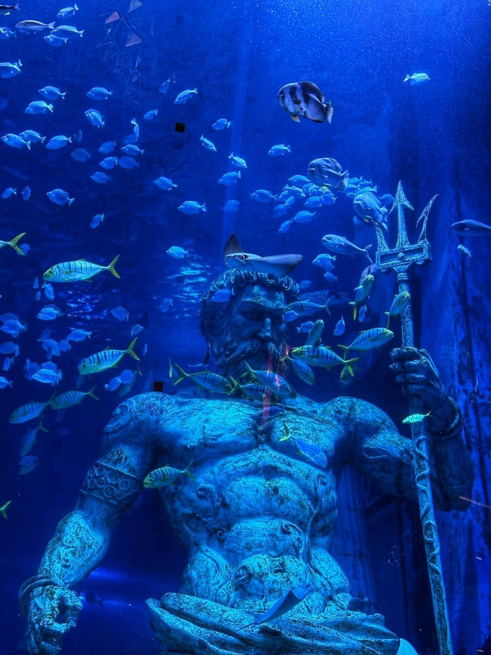 Гуанчжоу. Фотограф в Перми Любовь Огородова | Авторские туры