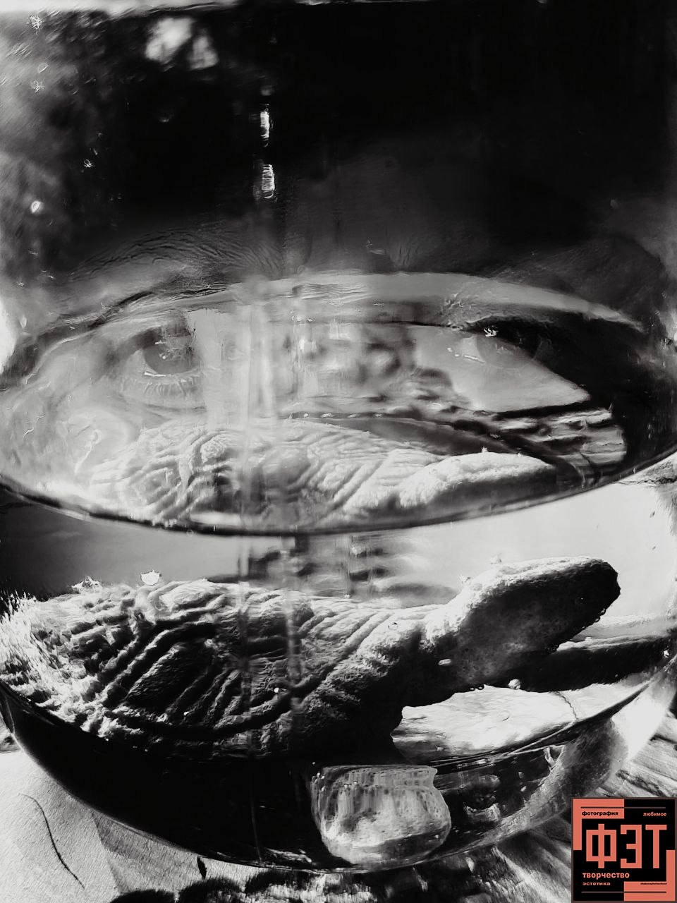 Фотопроект «ФЭТ: Фотография, Эстетика, Творчество»