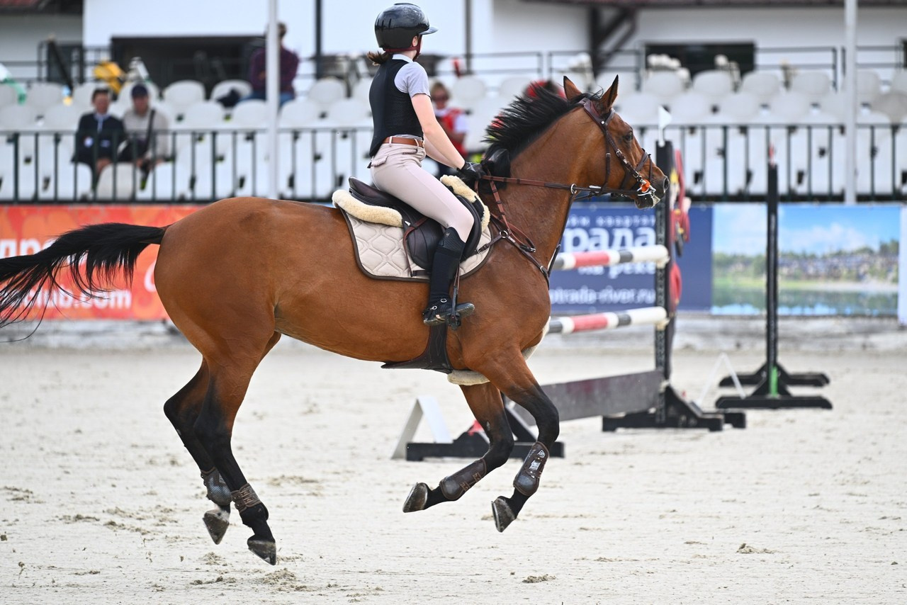 Отзывы. ТУРНИРНАЯ КОННАЯ ФОТОГРАФИЯ, Руднева Ольга и Евгений Адеев