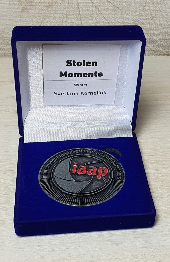 АРТ-ПРОЕКТЫ / AWARDS