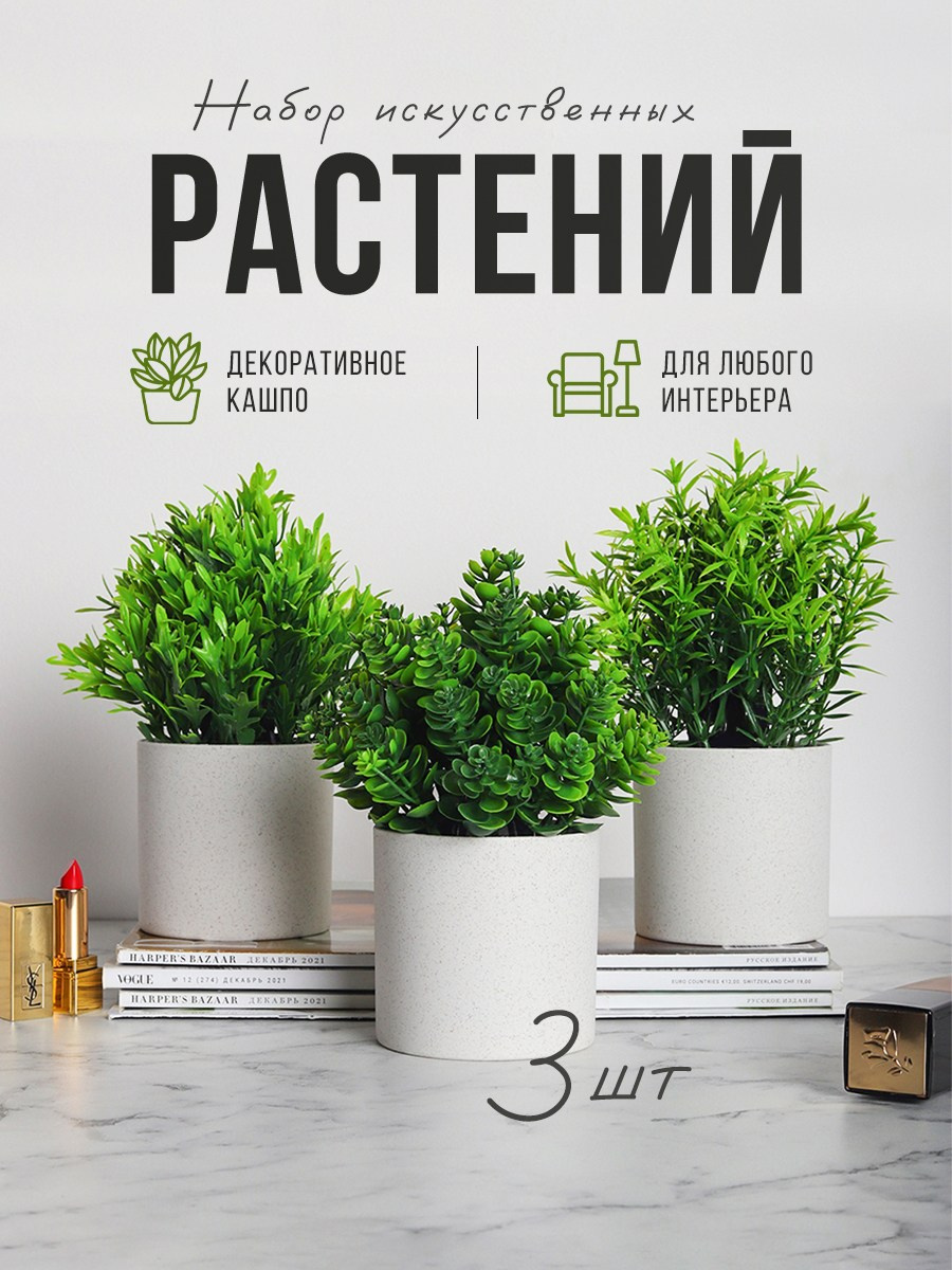 Растения. Разработка фирменного стиля, брендбука, логотипа (логобука), инфографика для маркетплейсов, Новосибирск