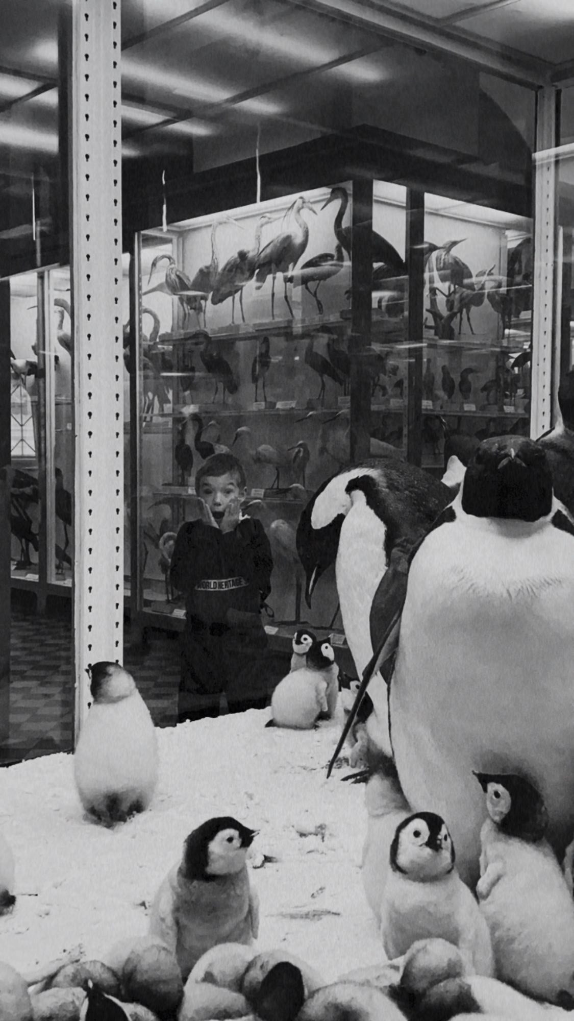 ДЕТИ. Zlotinafoto