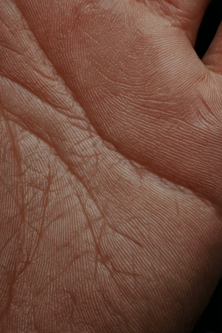 AI — artist | Documentary Photographer St. Petersburg, Milan