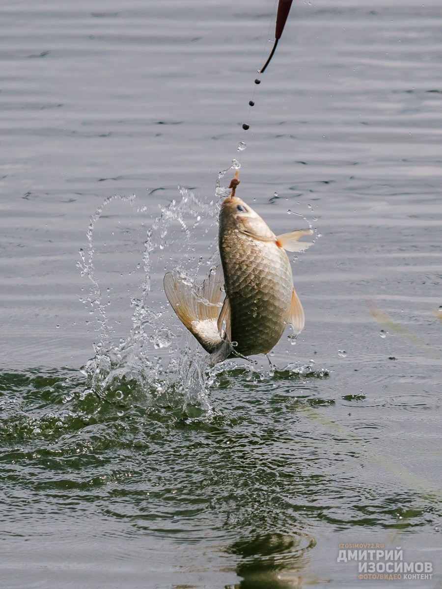 Лучшее из 2024