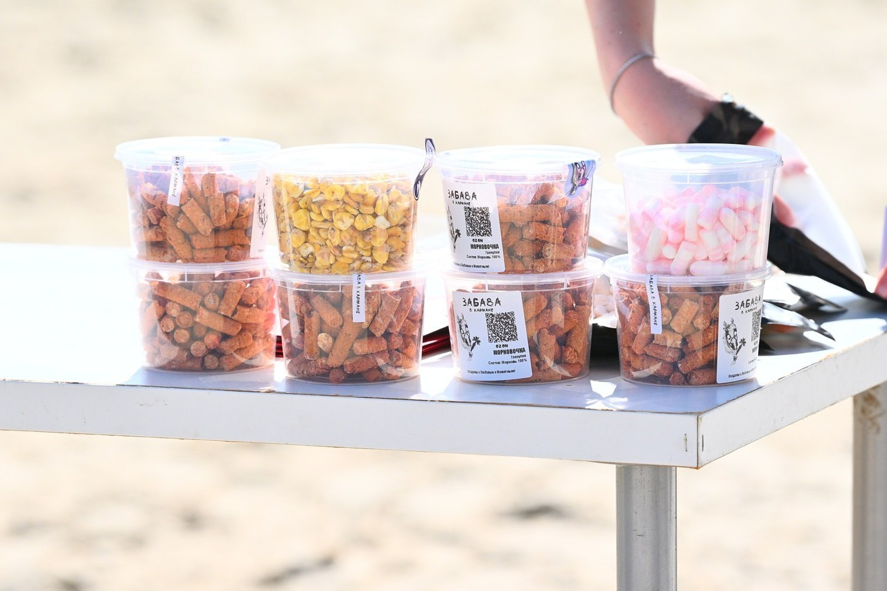 Отзывы. ТУРНИРНАЯ КОННАЯ ФОТОГРАФИЯ, Руднева Ольга и Евгений Адеев