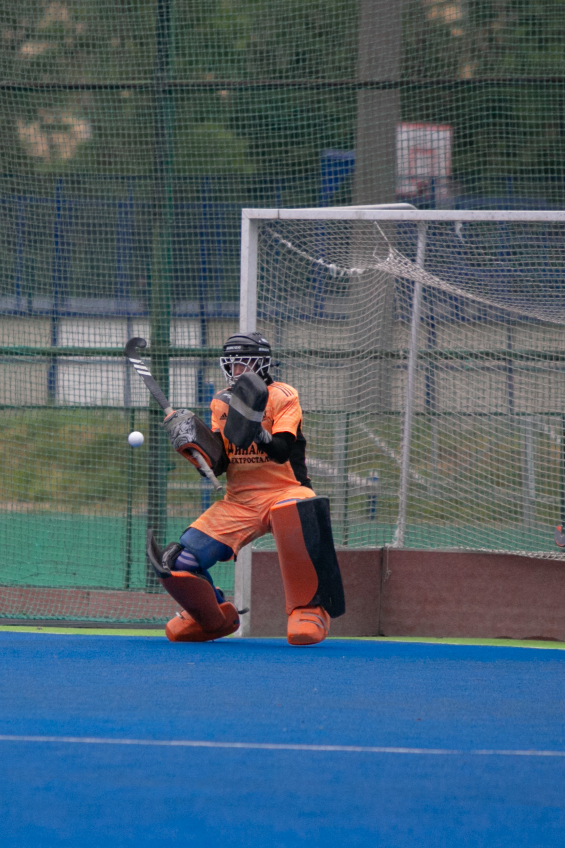 Электросталь/Москва. Фотограф Алена Артемова