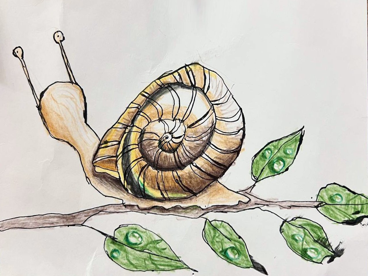 Художник Сальманович Ульяна. Фотограф Ольга Сальманович