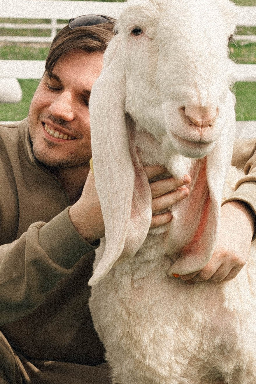 Ферма Альпак. Профессиональный фотограф, Санкт-Петербург — Виктория Богомолова